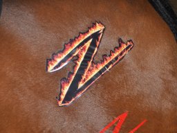 dsc_0211_web